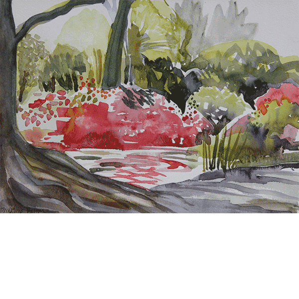 Pond 
Isabella Plantation